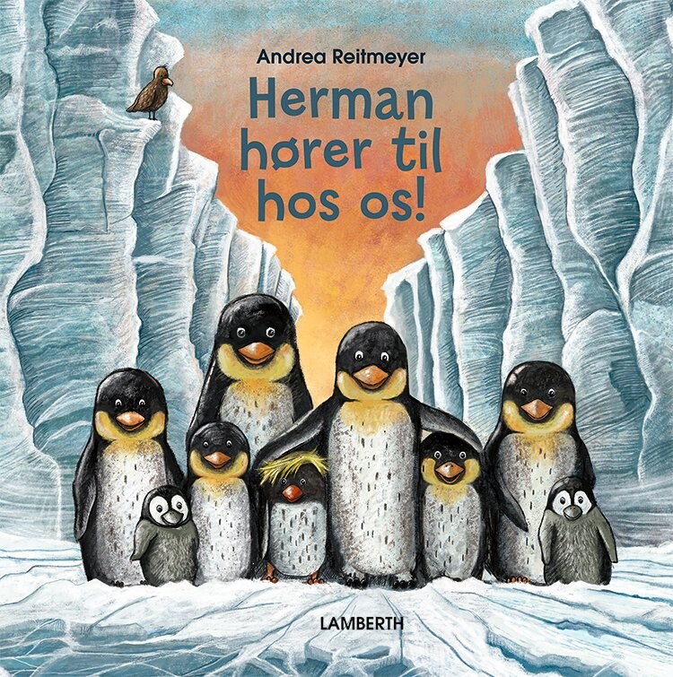 Herman Hører Til Hos Os   Andrea Reitmeyer   Bog