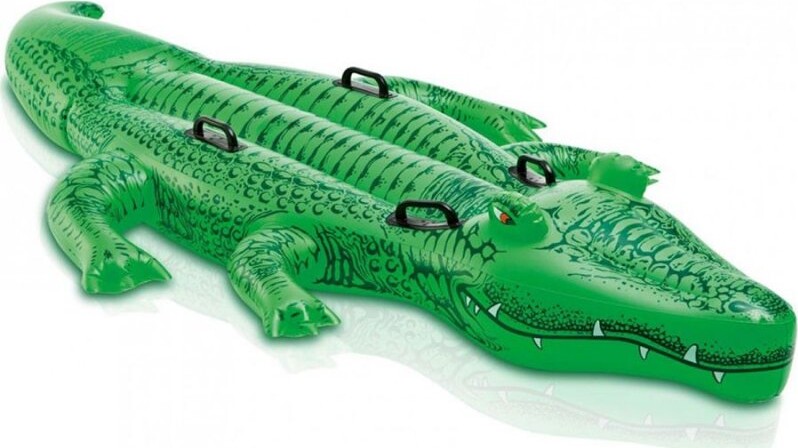 Krokodille Badedyr   200 Cm