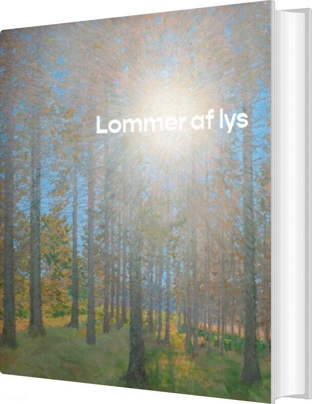 Lommer Af Lys   Mikael Wivel   Bog