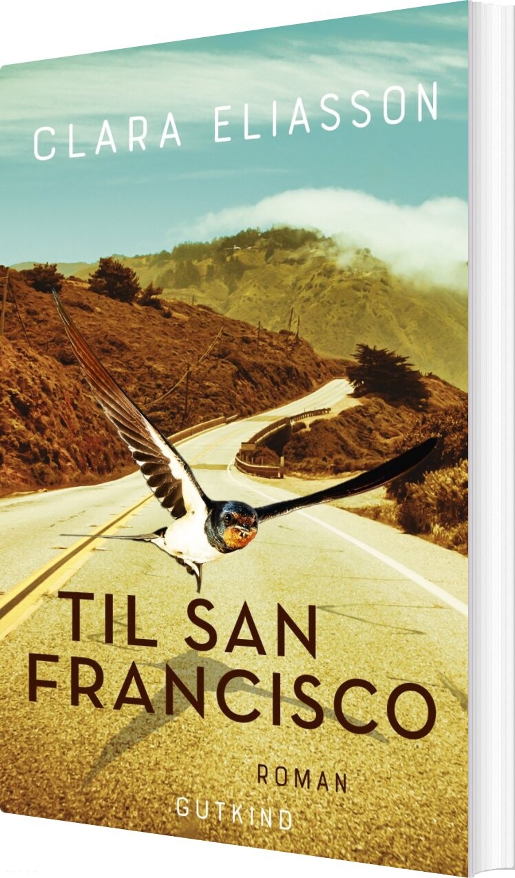 Til San Fransisco   Clara Eliasson   Bog