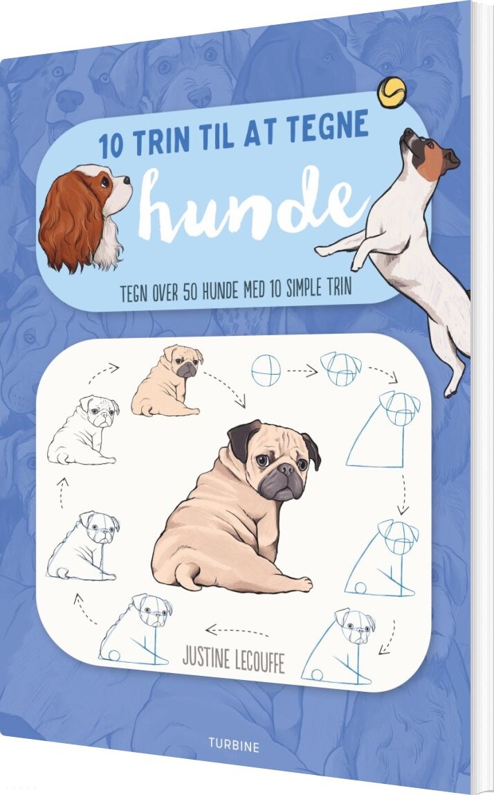 10 Trin Til At Tegne Hunde   Justine Lecouffe   Bog
