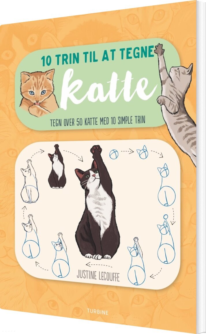 10 Trin Til At Tegne Katte   Justine Lecouffe   Bog