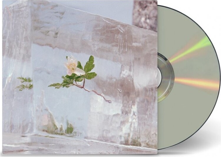 Efterklang Wildflowers Cd