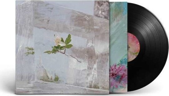 Efterklang Wildflowers Vinyl Lp