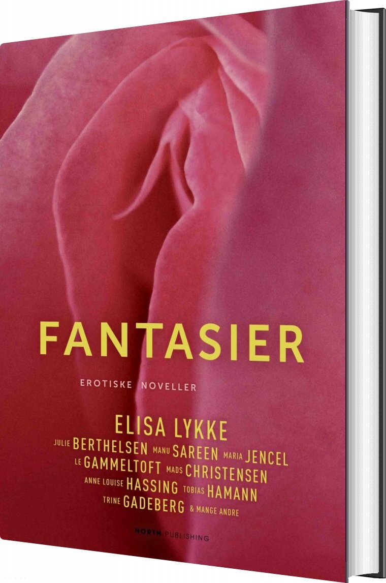Fantasier   Elisa Lykke   Bog