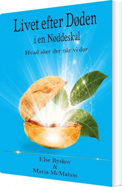 Livet Efter Døden I En Nøddeskal   Else Byskov   Bog