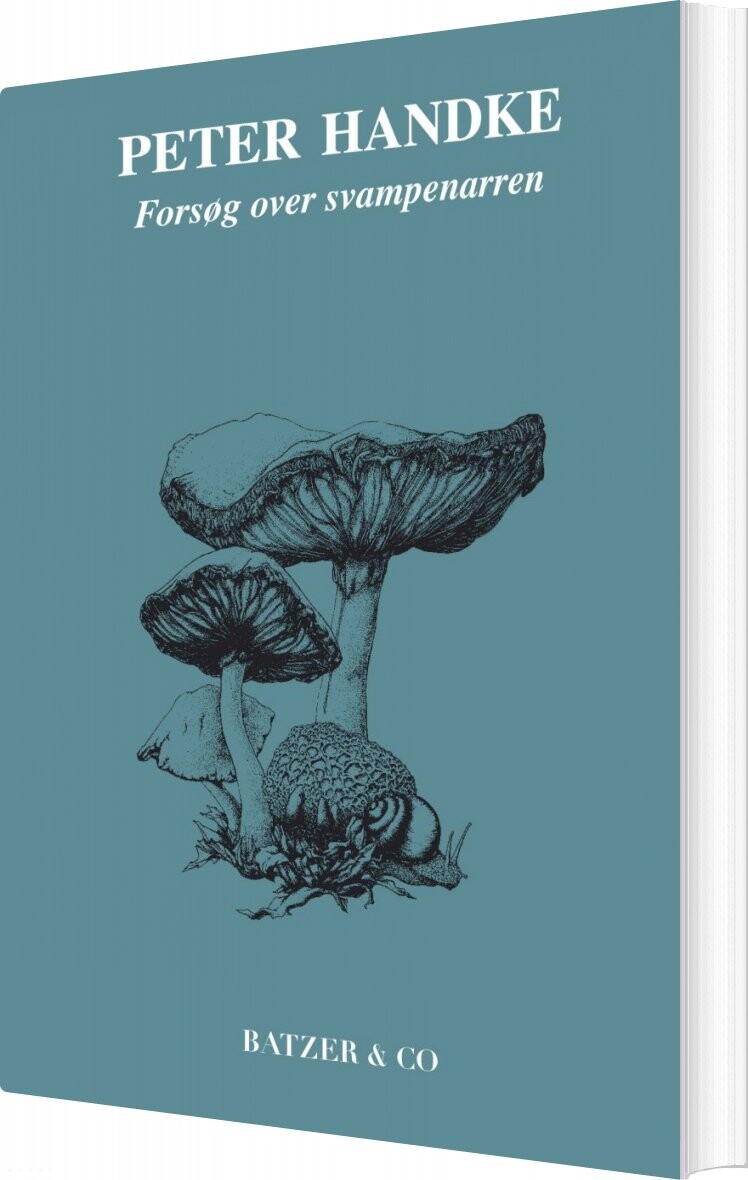 Forsøg Over Svampenarren   Peter Handke   Bog