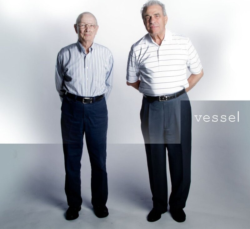 Twenty One Pilots   Vessel   Vinyl Lp