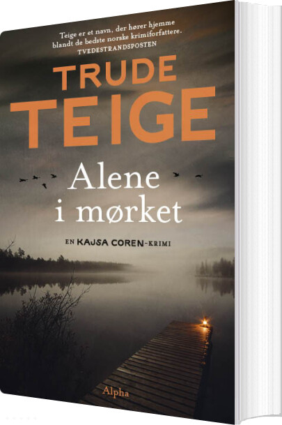 Alene I Mørket   Trude Teige   Bog