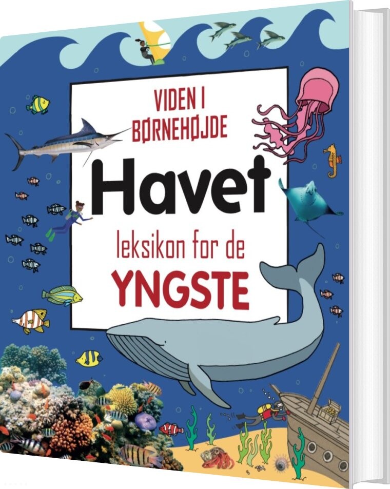 Havet   Leksikon For De Yngste   Bog